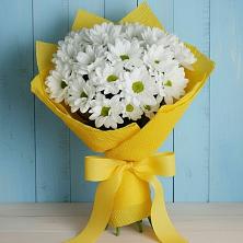 Букет цветов из:  Хризантемы в Полтавке