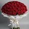 Букет 101 Красная роза Блэк Мэджик в Полтавке