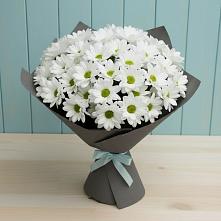 Букет цветов из:  Хризантемы в Полтавке